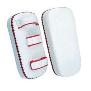 Training Kick Pads