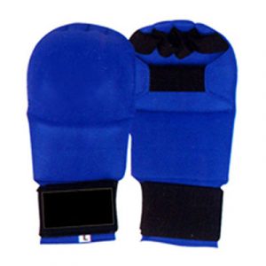 Punching Mitts